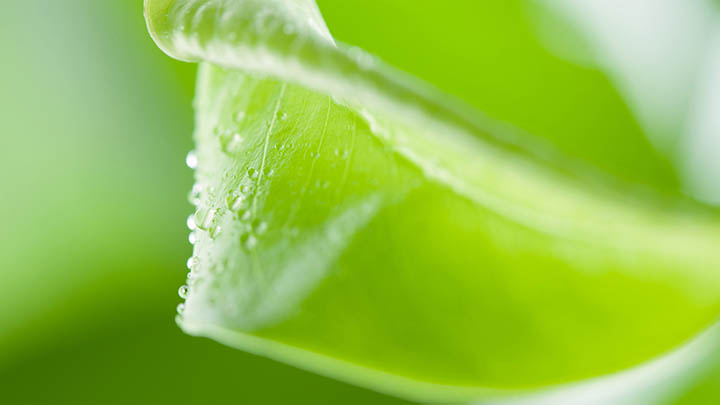 电脑如何下载搜狗输入法？快速上手安装教程分享 二