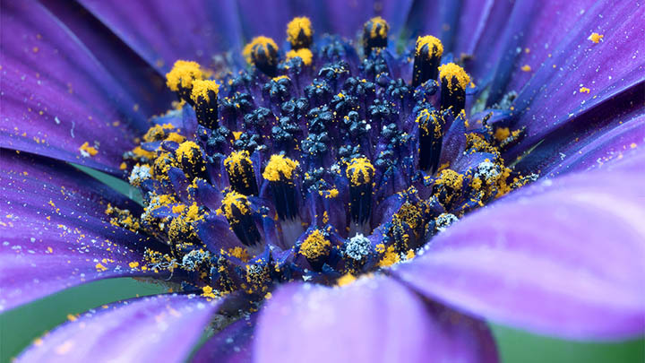 苹果搜狗输入法安装难?完整下载指南与快捷操作 苹果搜狗输入法安装难?完整下载指南与快捷操作 二