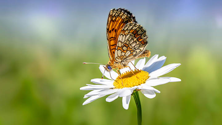 下载了搜狗输入法怎么用?强大全键盘功能解析与个性化设置教程 下载了搜狗输入法怎么用?强大全键盘功能解析与个性化设置教程 二