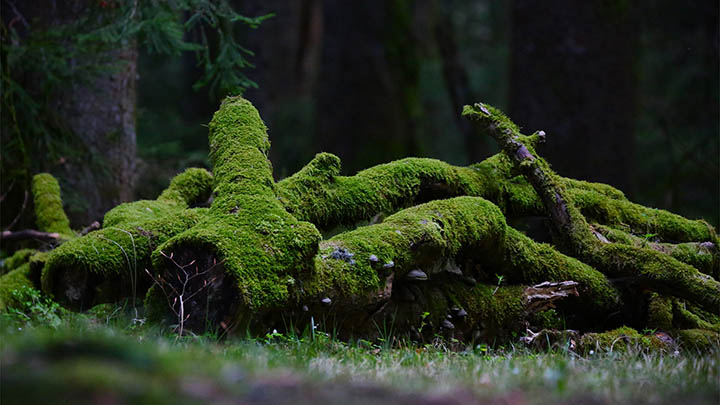 搜狗输入法下载怎么安装？详细教程教你快速搞定！ 二