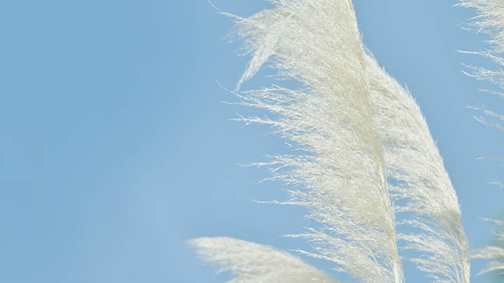 4S设备轻松越狱:下载搜狗输入法全流程解析 4S设备轻松越狱:下载搜狗输入法全流程解析 二