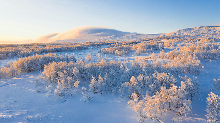 搜狗输入法手机怎么下载？官方快速安装教程解读 二