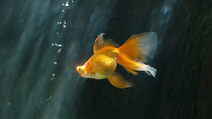 如何下载搜狗手机输入法:极速安装秘技详解 如何下载搜狗手机输入法:极速安装秘技详解 二