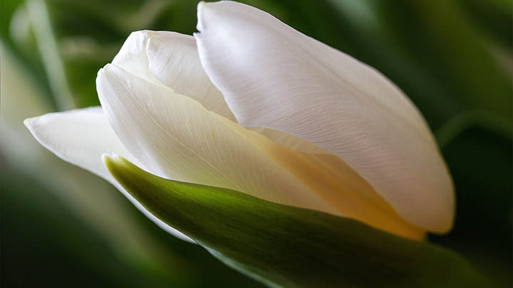 xr搜狗输入法下载指南：官方极速安装3步解析 二