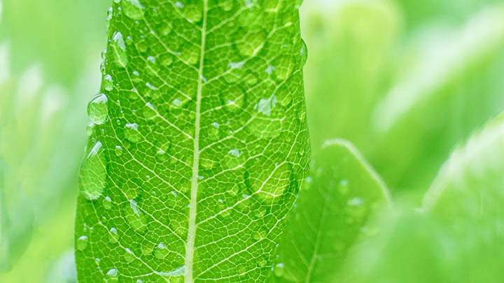 搜狗拼音输入法怎么下载?全平台适配下载安装详细教程 搜狗拼音输入法怎么下载?全平台适配下载安装详细教程 二