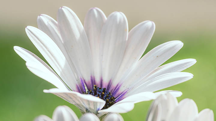 怎么下载搜狗输入法？快速获取最新版本安装指南 二