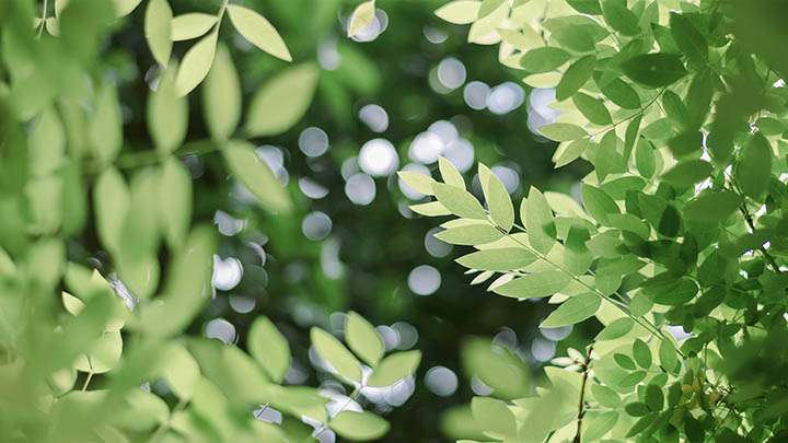 搜狗日语输入法怎么下载才最方便? 搜狗日语输入法怎么下载才最方便? 二