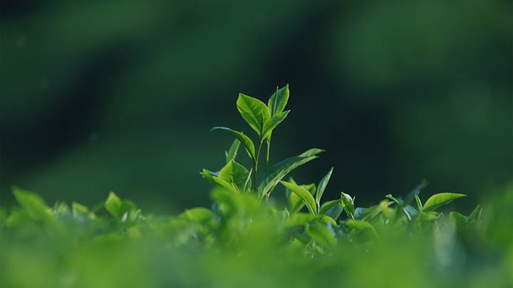 下载搜狗输入法总是失败?看这里教你快速安全解决方案! 下载搜狗输入法总是失败?看这里教你快速安全解决方案! 二