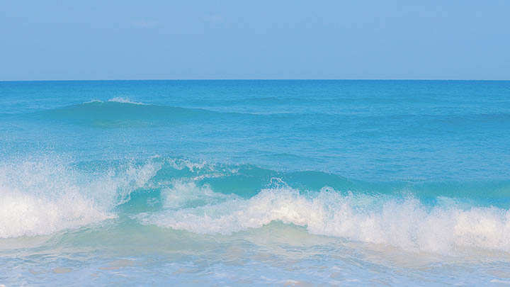 搜狗输入法表情下载:轻松获取表情包的全攻略解析 搜狗输入法表情下载:轻松获取表情包的全攻略解析 二