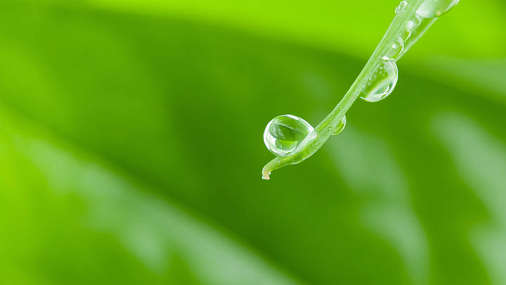 怎么定制搜狗输入法下载？全方位个性化设置与安装指南 二