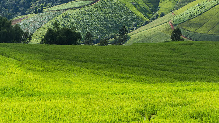 免费下载搜狗简拼输入法:轻松获取三大平台的安装指南与技巧 免费下载搜狗简拼输入法:轻松获取三大平台的安装指南与技巧 二