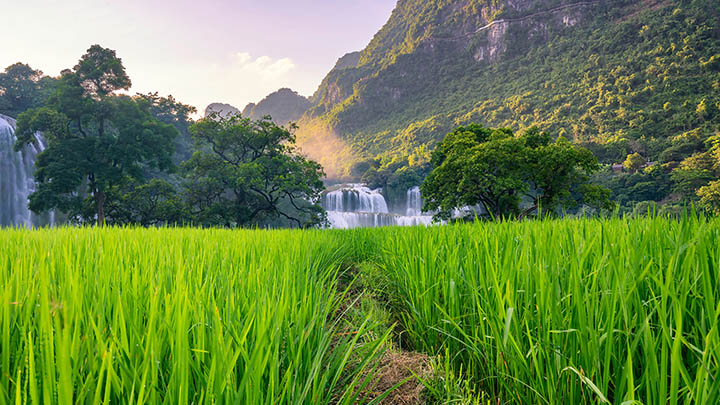 如何通过QQ轻松下载搜狗输入法：官方教程与安装技巧揭秘 二