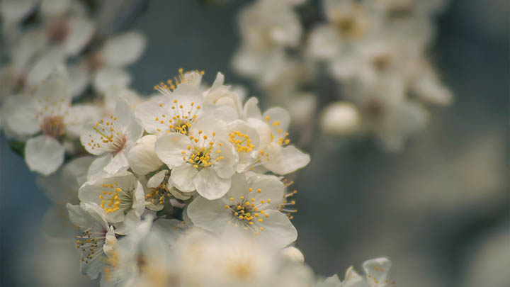 谷歌下载搜狗输入法:轻松三步获取官方版 谷歌下载搜狗输入法:轻松三步获取官方版 二