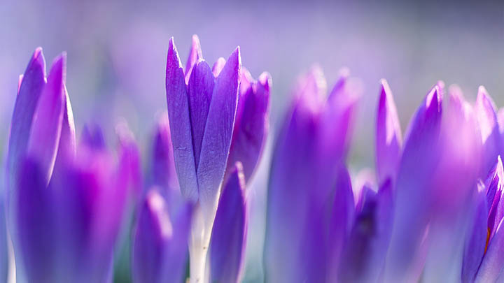 怎么正确下载搜狗输入法：快速发展至最佳配置技巧 二