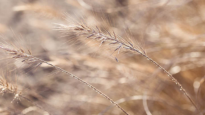 怎么下载搜狗输入法?快速下载安装指南助你轻松输入! 怎么下载搜狗输入法?快速下载安装指南助你轻松输入! 二