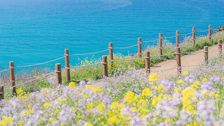 怎么快速下载搜狗输入法？省时省心的官网与镜像站推荐方案 二