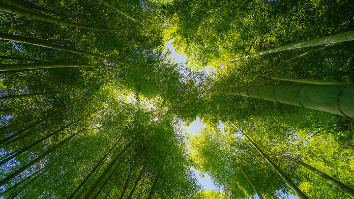 搜狗输入法最新下载攻略：轻松享受输入法的极速体验 二