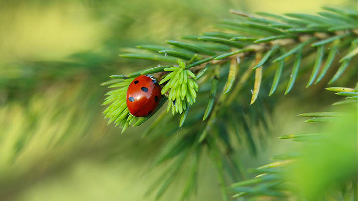搜狗输入法怎么下载好看?教你获取最新美化版技巧 搜狗输入法怎么下载好看?教你获取最新美化版技巧 二
