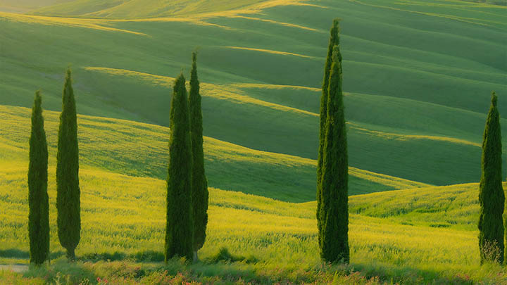 搜狗输入法怎么设置？轻松掌握全方位个性化调节技巧与快捷操作指南 二