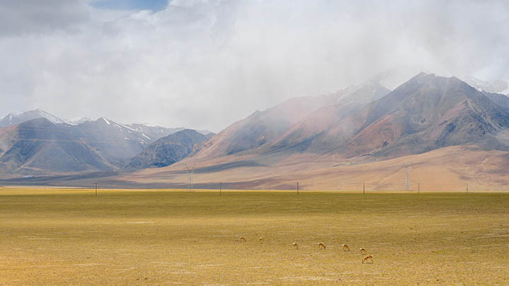 搜狗输入法符号下载：轻松解决三步教你！ 二