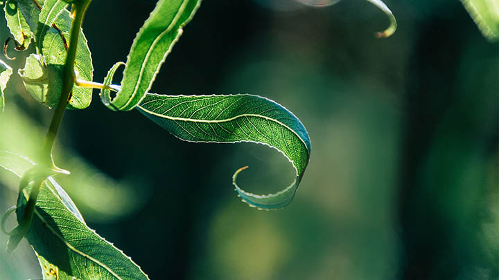 搜狗输入法怎么下载电脑?无需烦恼,最全三步轻松解决方法揭秘 搜狗输入法怎么下载电脑?无需烦恼,最全三步轻松解决方法揭秘 二