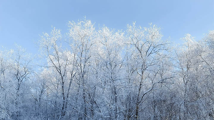 输入法搜狗电脑怎么下载:轻松解决安装过程中的常见问题 输入法搜狗电脑怎么下载:轻松解决安装过程中的常见问题 二