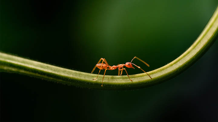 搜狗输入法笔画输入法下载：轻松掌握快速安装技巧 二
